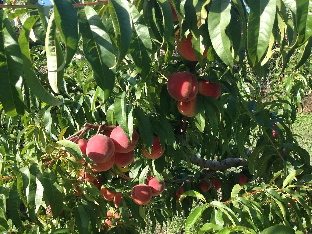 La Casa Di Menny Maison De Campagne Moneglia 3*,  Olaszország